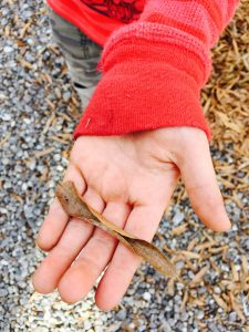 hand and leaf