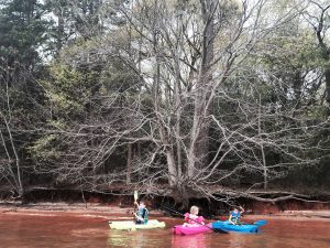 Kayaking - Plath