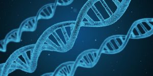 DNA - genes