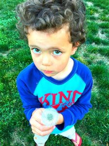 Olive Skin - Genes