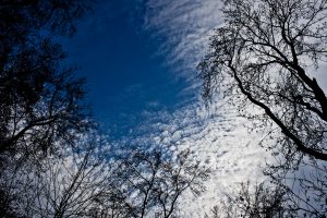altocumulous - clouds