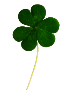 shamrock - leprechauns