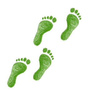 green foot prints - leprechauns