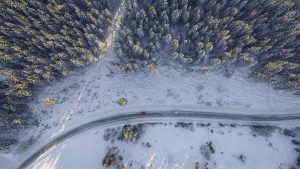 snowy road - weather