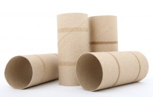 toilet paper rolls - weather