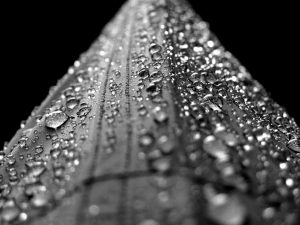 surface tension - Laundry