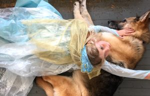 Elsa and Her Dog - Bella