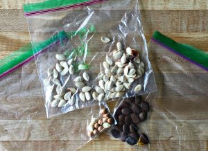 Seed Bags - baseball