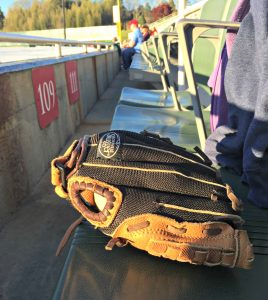 Glove in the Setting Sun - baseball
