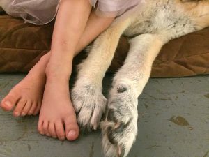 Paws and Feet - Bella