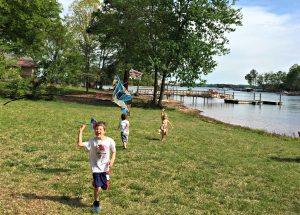 Kites at Tiny House