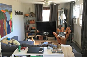 Tiny House Living Room