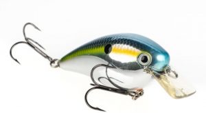 Lure for Father's Day