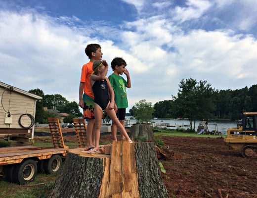 Stump Standing - Summer Survival