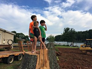 Stump Standing - Summer Survival