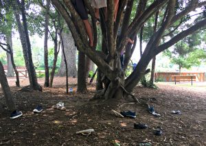 Shoeless Climbers - Day