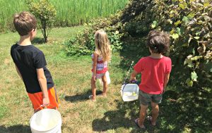Treasure Hunt - game