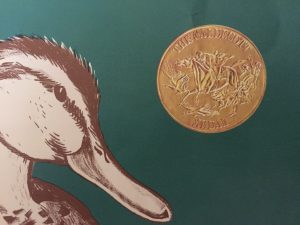 A Caldecott Medal Winning Book