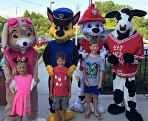 Paw Patrol - Fireworks