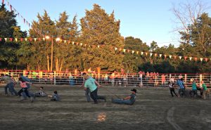 Shovel Race - Rodeo
