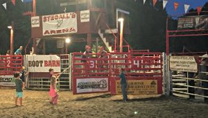 Rodeo Bull Kids