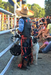 Little Cowboy - Rodeo