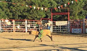 Mutton Busting Rodeo