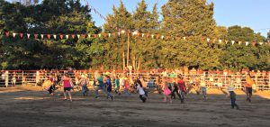 Bull chase at the rodeo