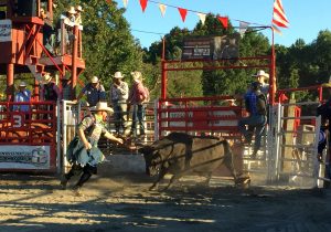 Free Bull - Rodeo