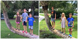 Time Passing by One Year