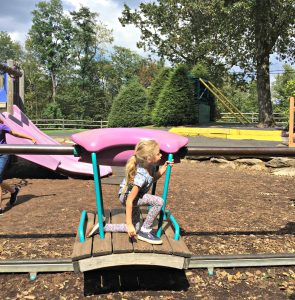 Tweetsie Playground