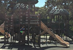 Playground reader - Baseball