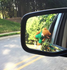School Commute Flying Animal