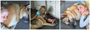 E and Sweet Bella - Zeppelin