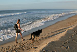 A Walk with Zeppelin