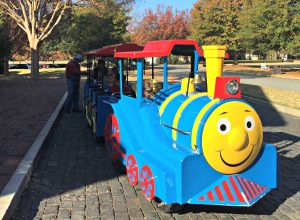 Blue Choo Choo - Elf