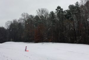 A Girl and Her Snow
