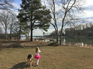 A Walk With Bella - Puppy